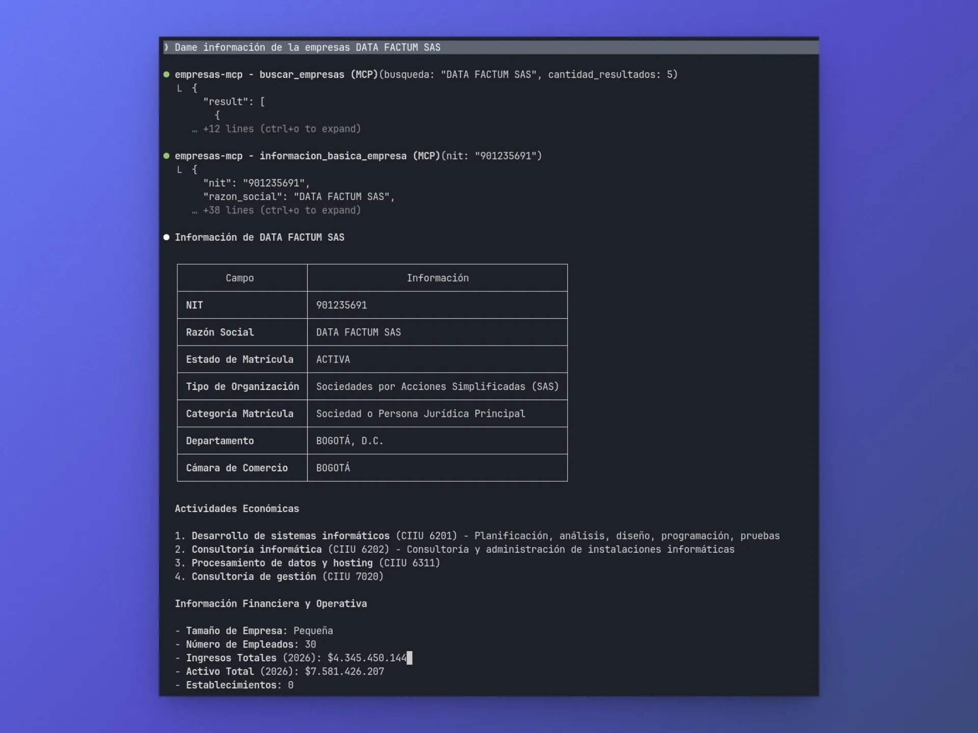 Nuevo MCP Tusdatos Empresas